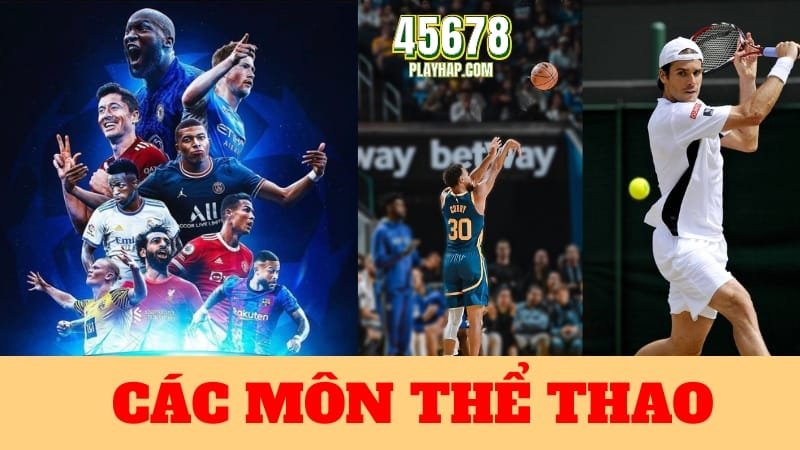 Thể Thao Bảng Xếp Hạng Các Môn Thể Thao Được Yêu Thích Thể Thao Bảng Xếp Hạng Các Môn Thể Thao Được Yêu Thích